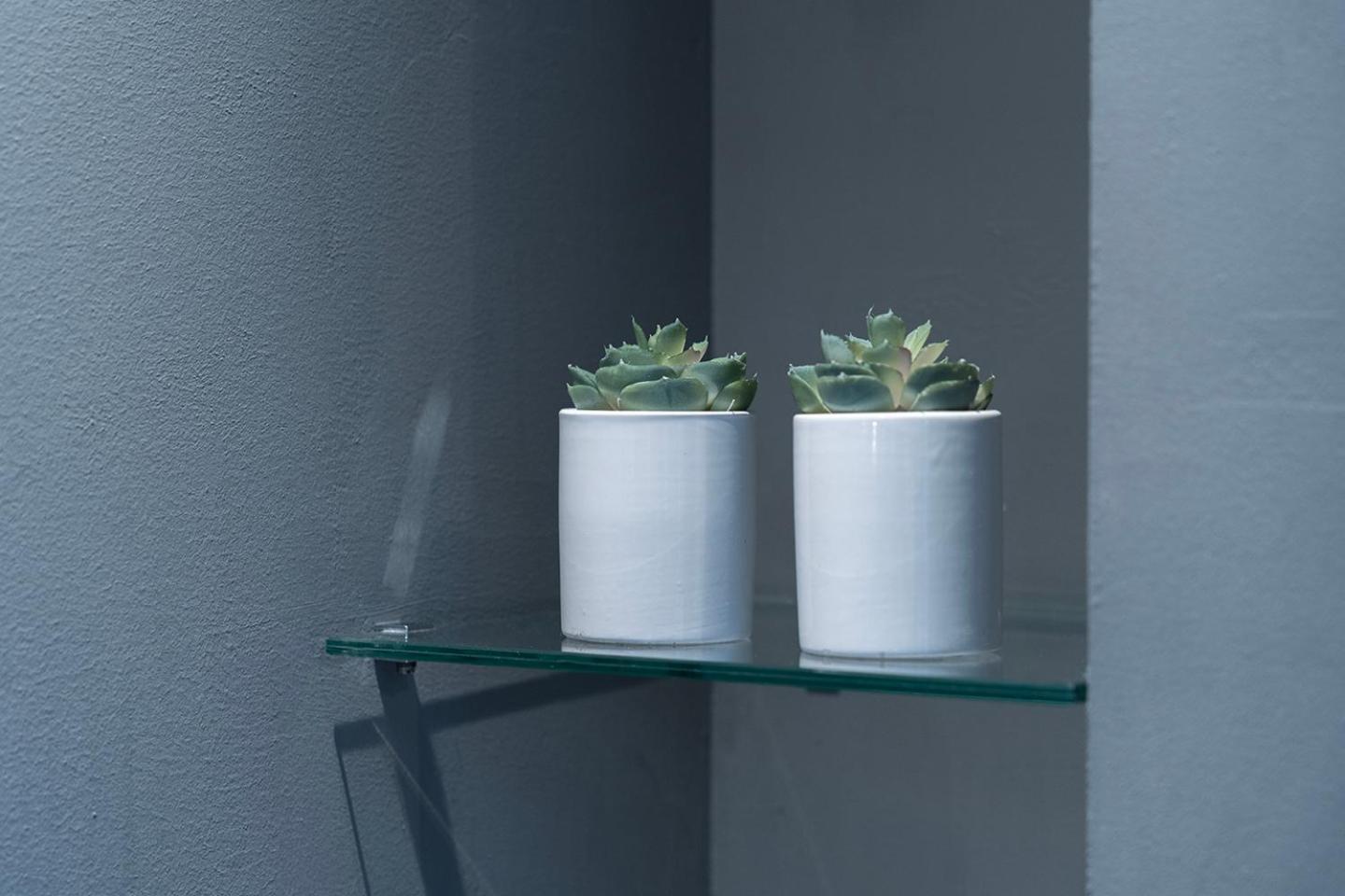 Suite With Wellness Nextdoor And Kitchen Access Oss Buitenkant foto